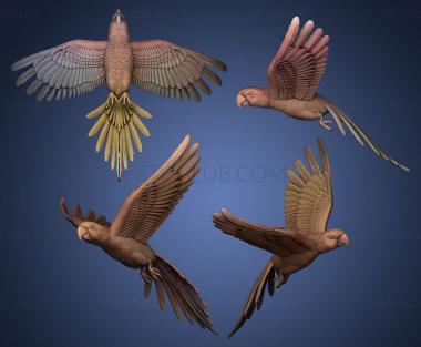 3D model Parrot in flight (STL)